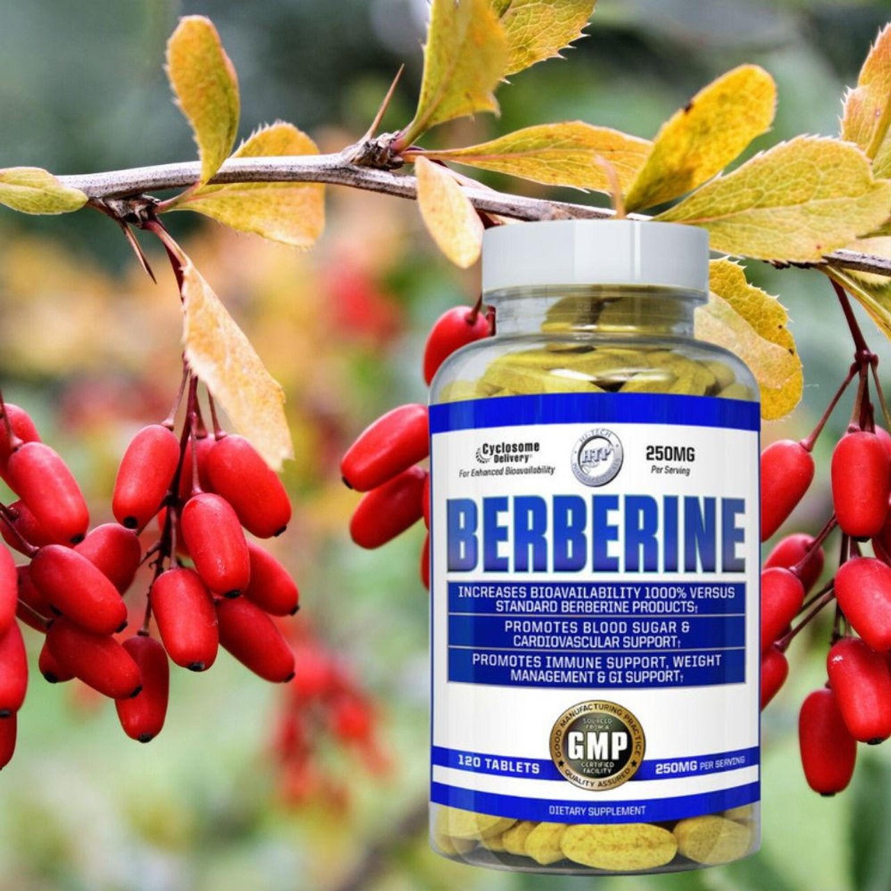 Berberine by Hi Tech - Nutrition World